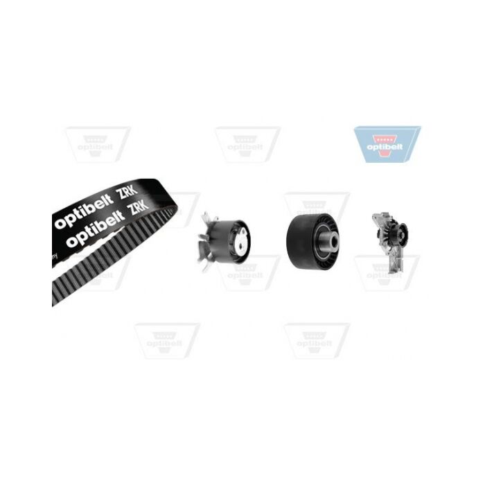 Distributieriemset met waterpomp 307  307 SW  308  308 CC  308 SW  407  508  508 SW  607  807  C30  C4  C4 GRAND PICASSO  C4 PICASSO  C5  C70  C8  C-Max  Dispatch  Expert  Expert Tepee  Focus  Focus C-Max  Galaxy  Kuga  Mondeo  Phedra  S40  S80  Scud