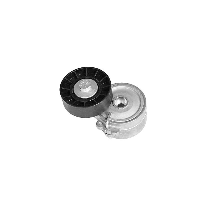 multiriem poelie OEM ref 1253954 1305339 1310771 1611424380 30650927 30684427 diesel S40 V50 C70