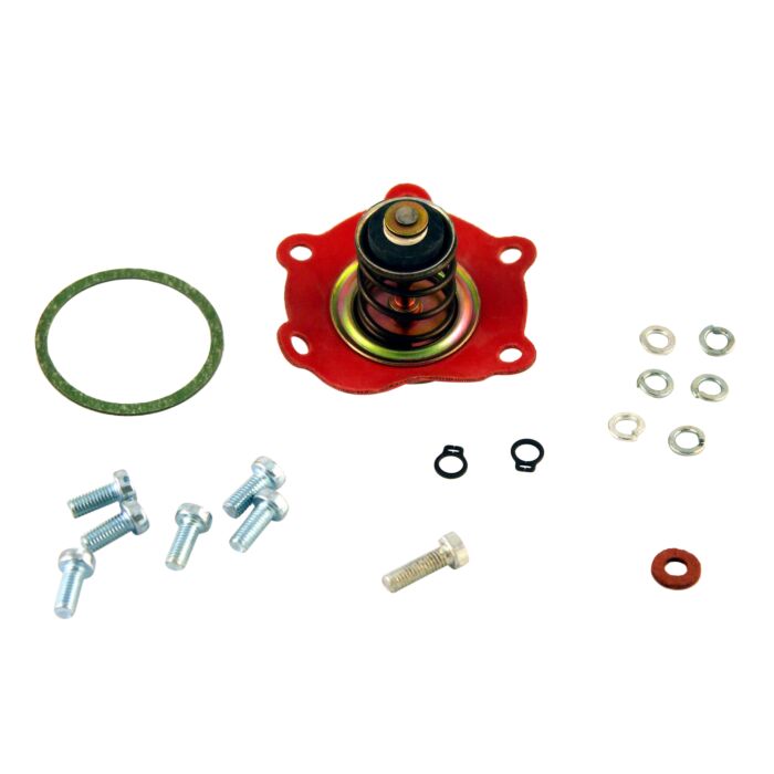 Benzinepomp revisieset  voor Pierburg benzinepomp  418878 B18 Amazon PV544 P210 P1800