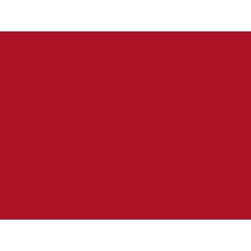 Auto lak in spuitbus rood kleur 46 PV544+ Amazon+140+164+P1800