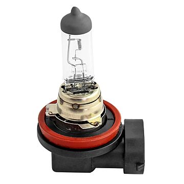 lamp bol H8 12V 35W Lamp 12V